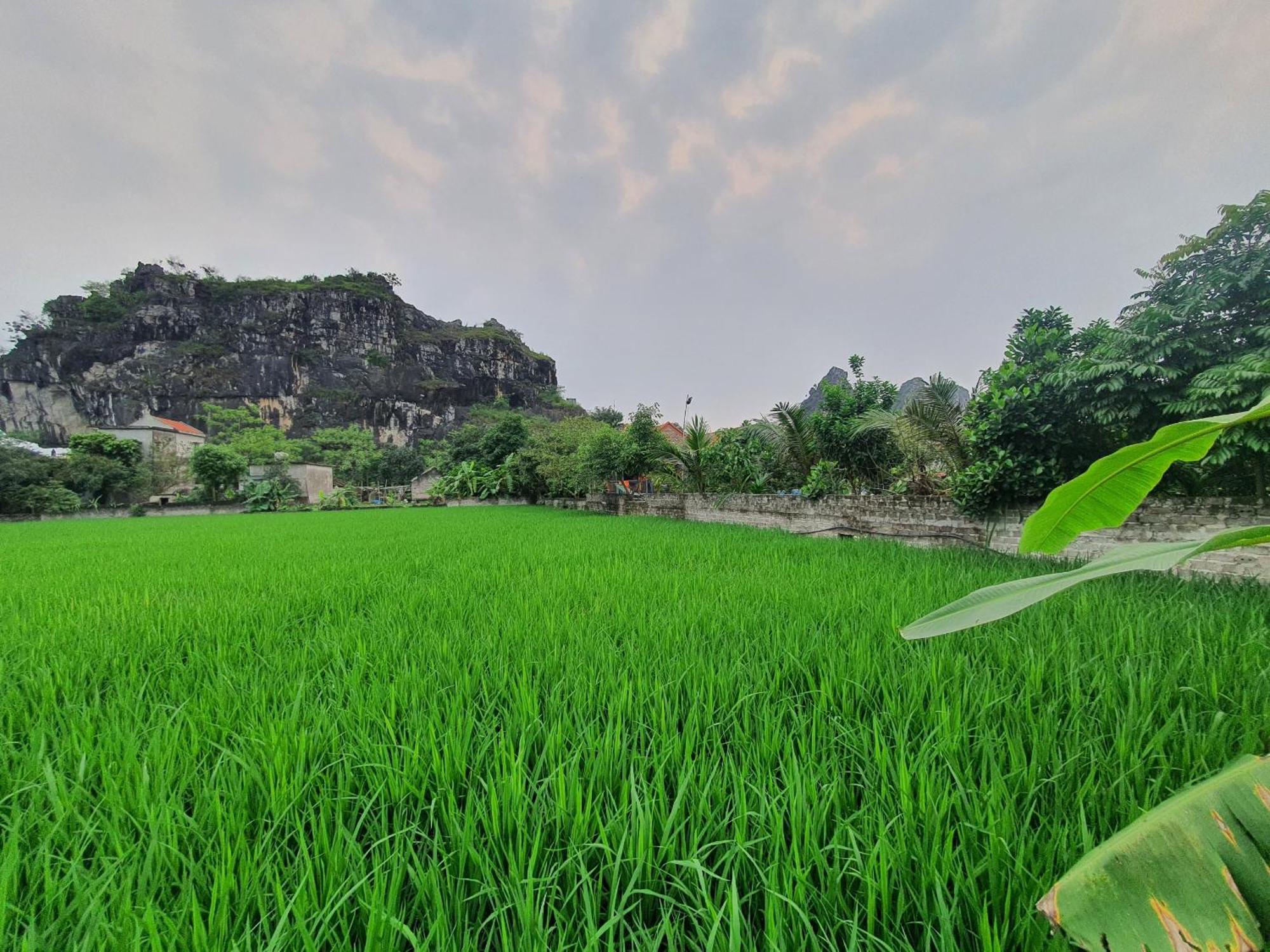 Nha Diep Bungalow Ninh Bình Extérieur photo
